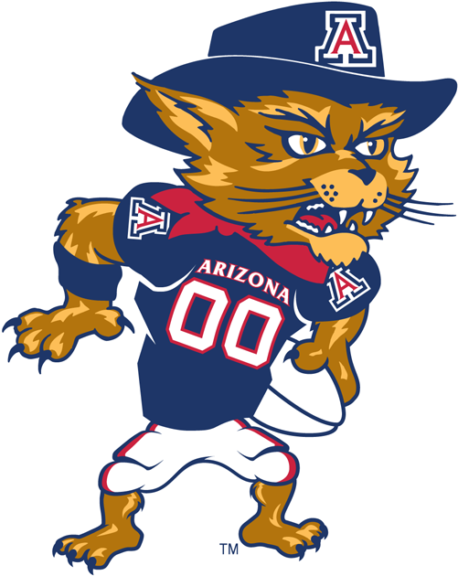 Arizona Wildcats 2003-Pres Mascot Logo v4 iron on transfers for fabric